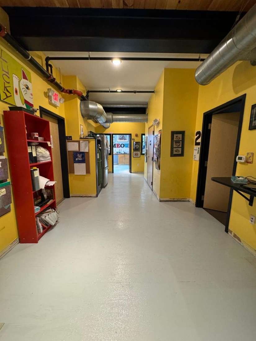 Veterinary Clinic – Hallways and rooms · high-traffic commercial interior